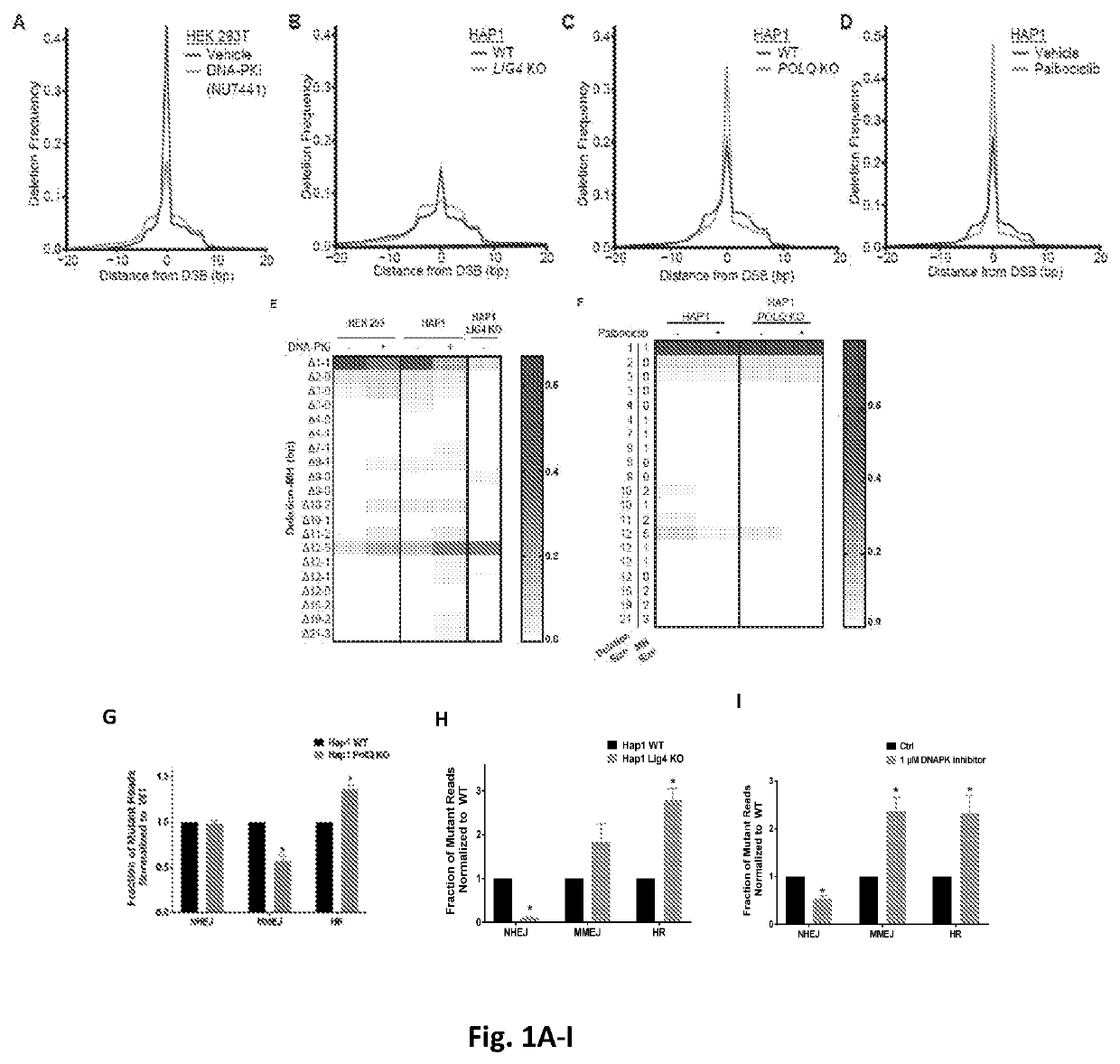 Compositions & methods for monitoring DNA repair