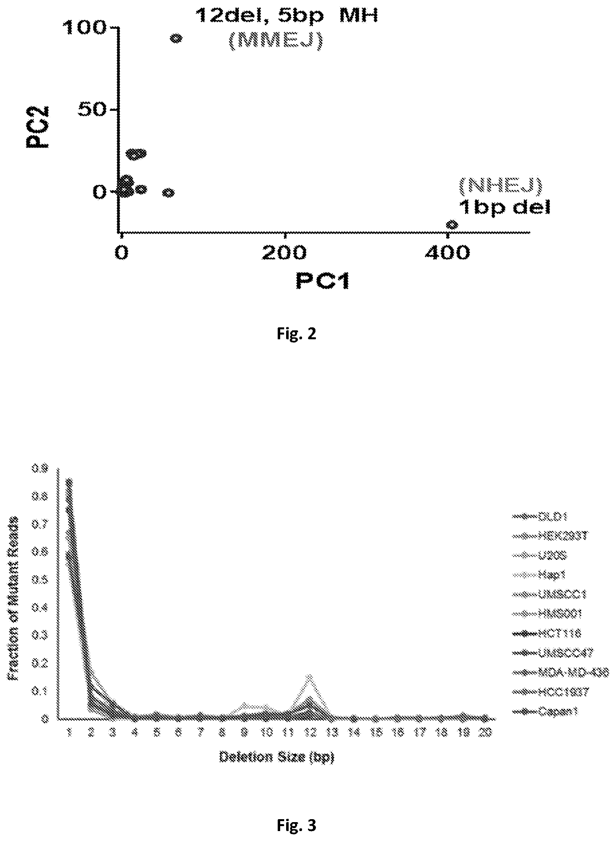 Compositions & methods for monitoring DNA repair