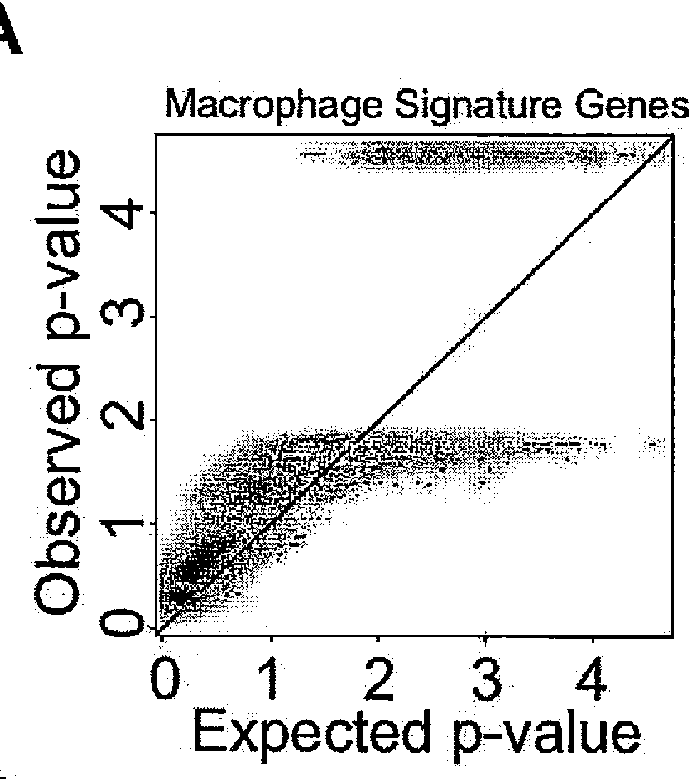 Methods for determining prognosis for breast cancer patients