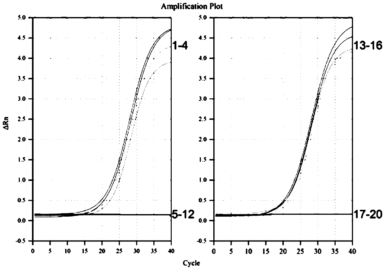 Quadruple fluorescent PCR primer set, probe set, kit and method for detecting four pathogenic bacteria in drinking water