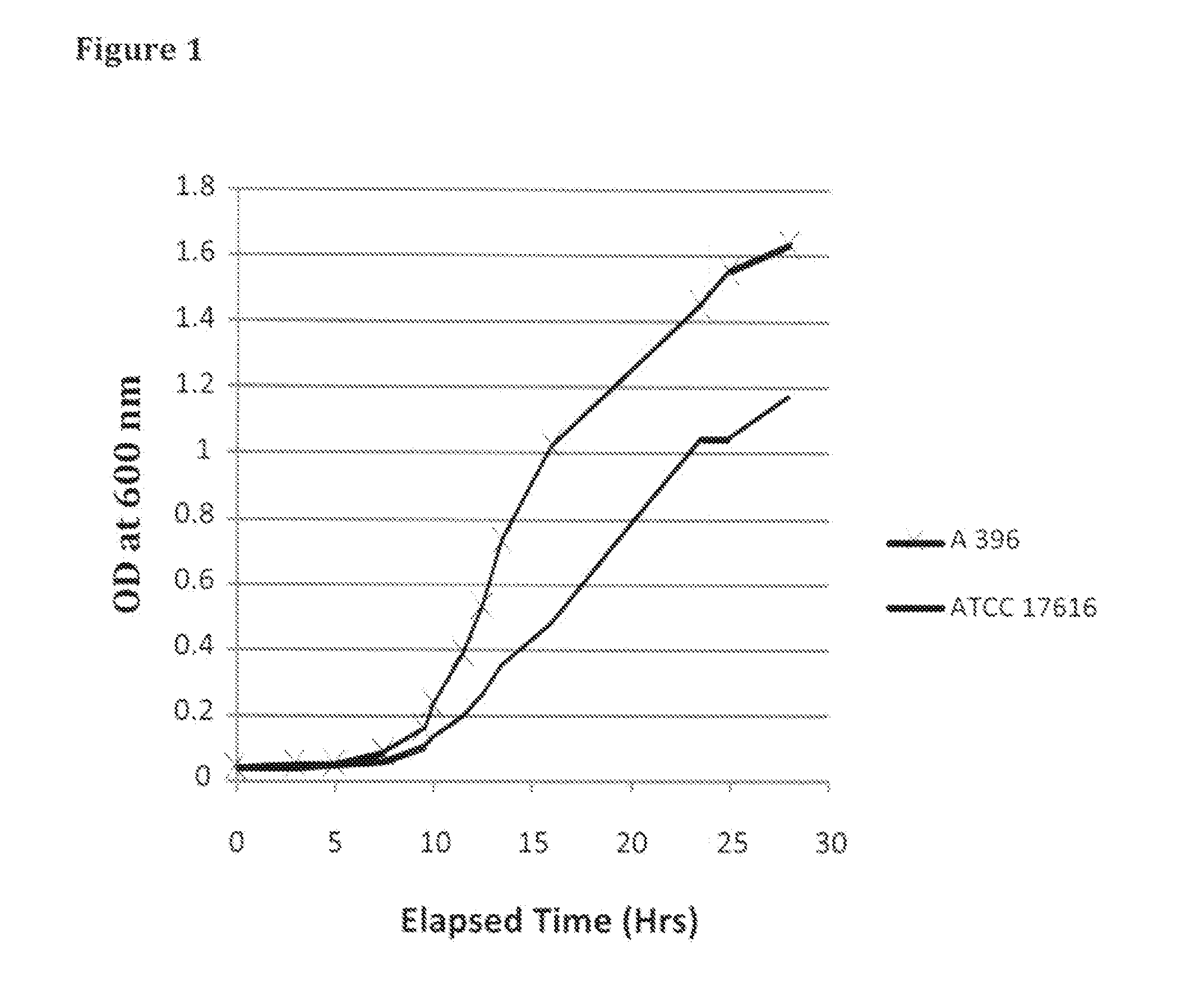 Isolated bacterial strain of the genus burkholderia and pesticidal metabolites therefrom- formulations and uses