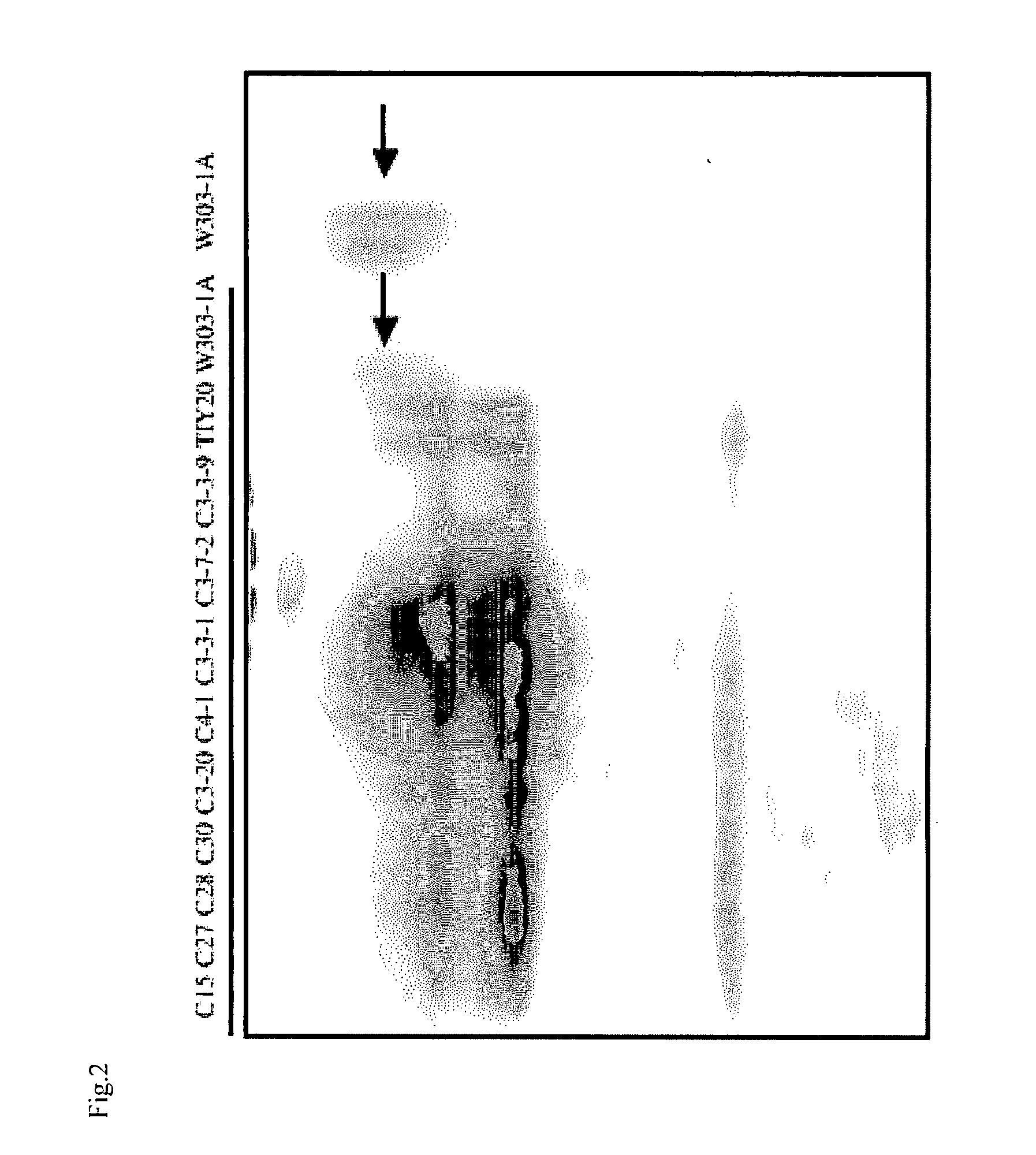 Breeding method for yeast, yeast and a production method for glycoprotein or beta-glucan