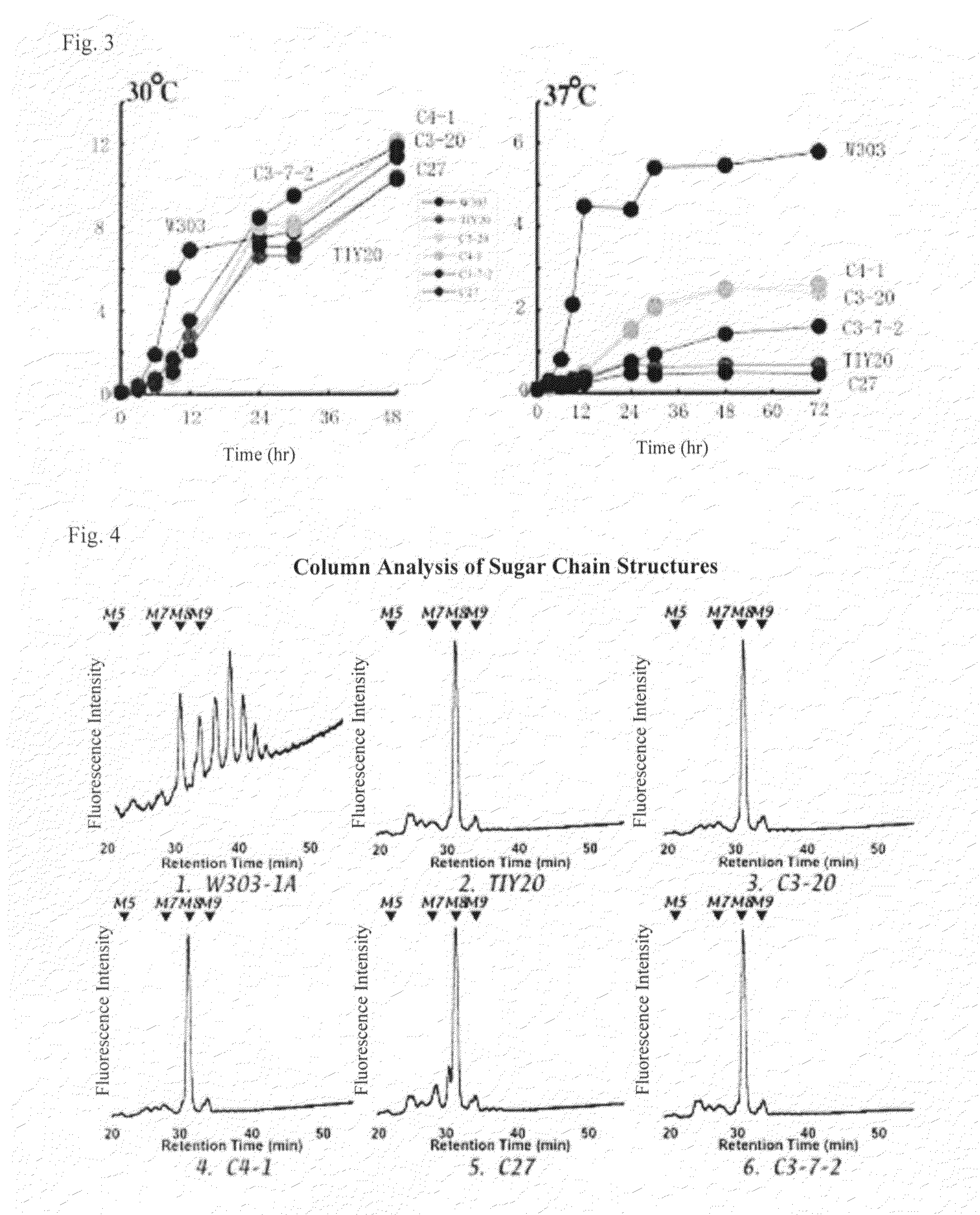 Breeding method for yeast, yeast and a production method for glycoprotein or beta-glucan