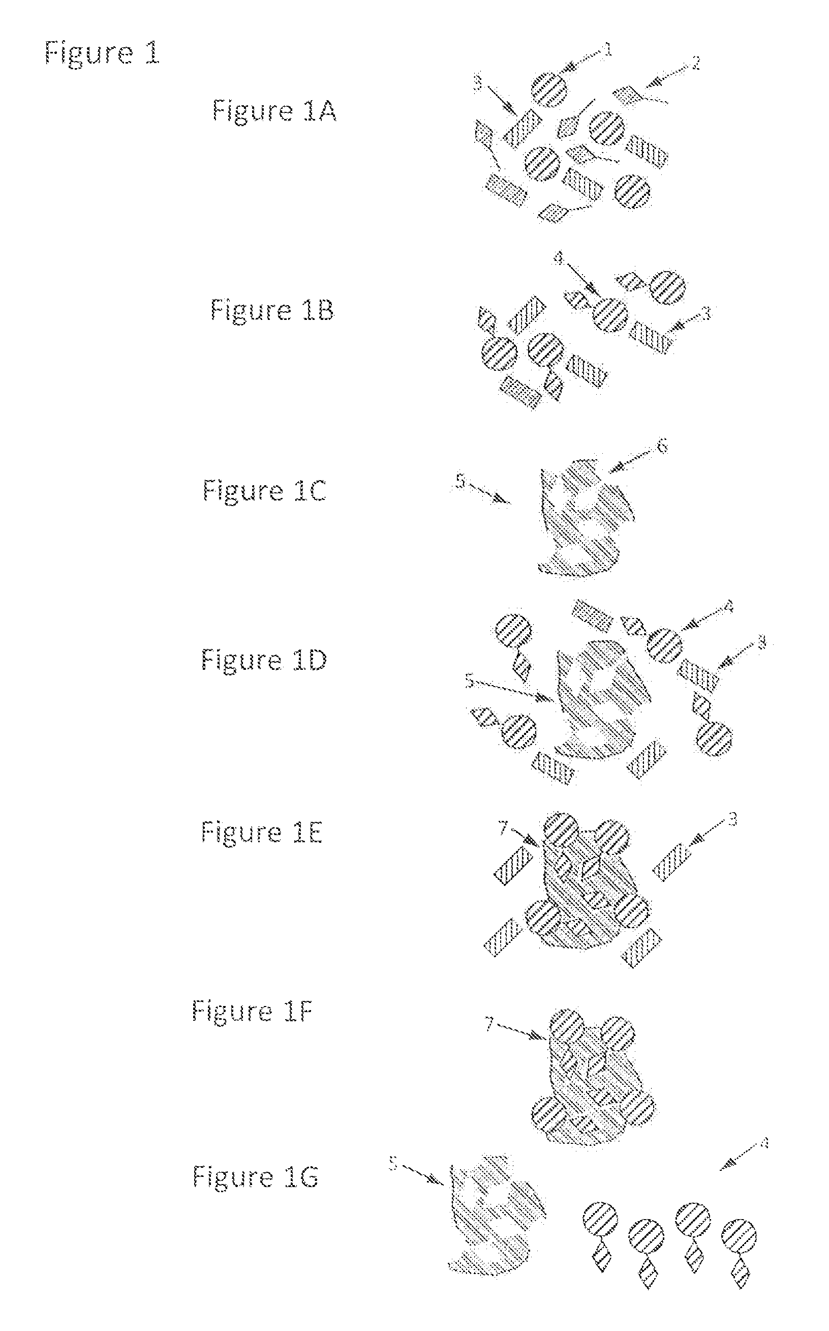 Method and kit for analyzing samples