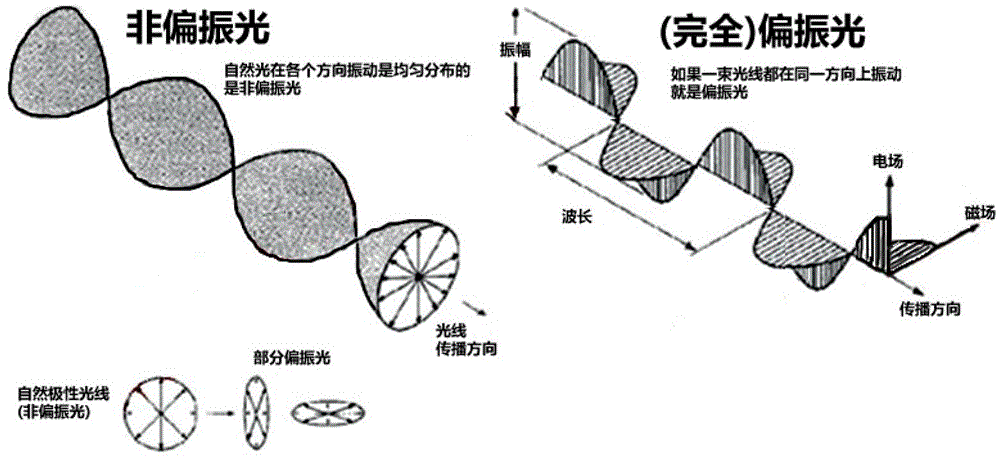 A polarized 3D system based on polarized light recycling