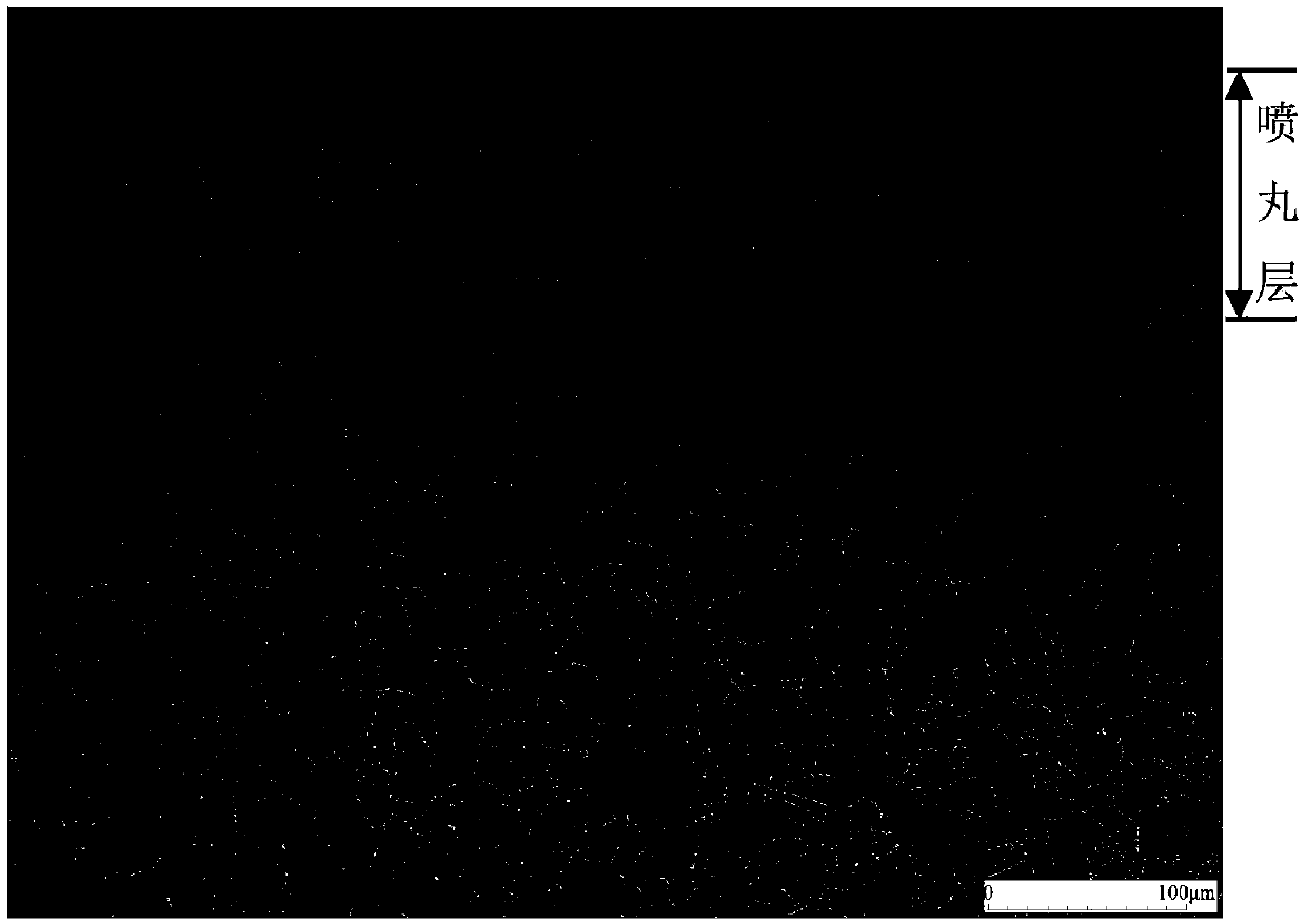 Corrosive agent for detecting shot-blasted layer on austenitic stainless steel surface and using method of corrosive agent