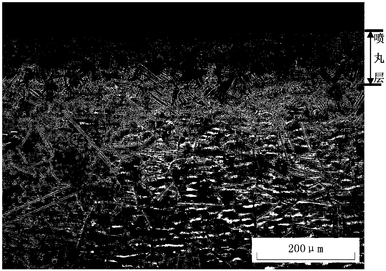 Corrosive agent for detecting shot-blasted layer on austenitic stainless steel surface and using method of corrosive agent