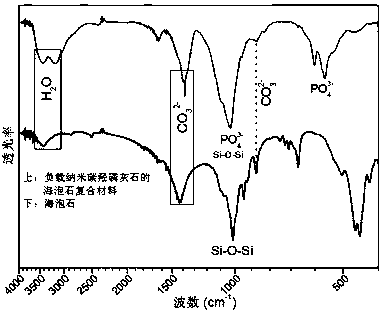 Sepiolite composite material loading nanocarbon hydroxyapatite as well as preparation method and application ofsepiolite composite material