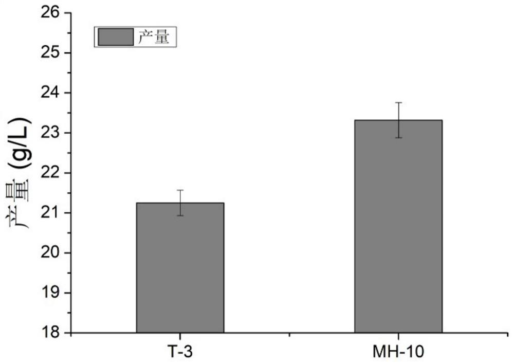 Sphingomonas engineering bacteria and its construction method and application