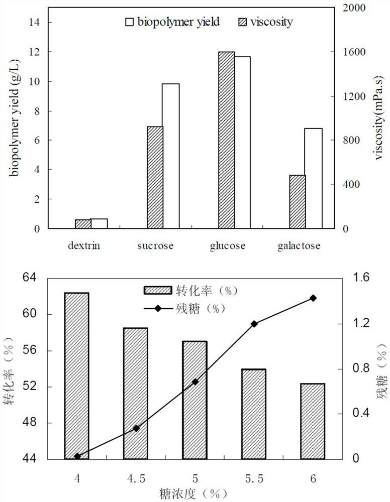 Sphingomonas engineering bacteria and its construction method and application