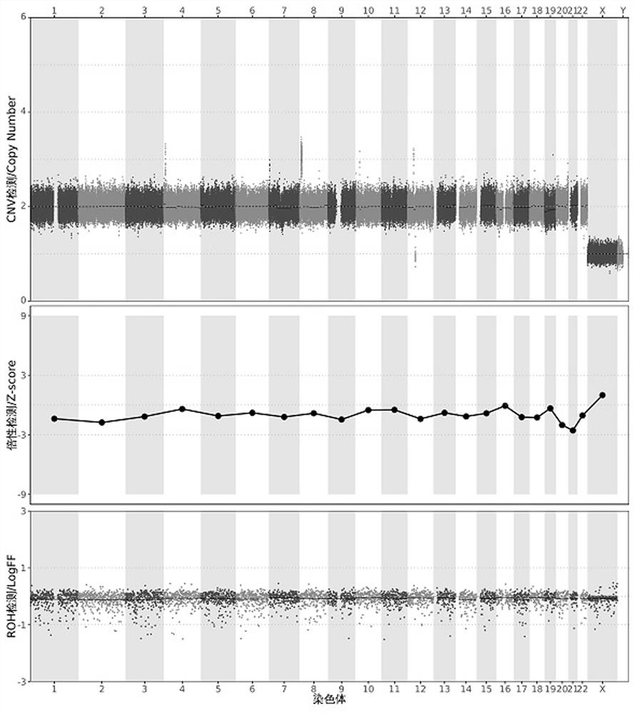 Method and device for integrated detection of CNV, uniparental disomy, triploidy and Roh