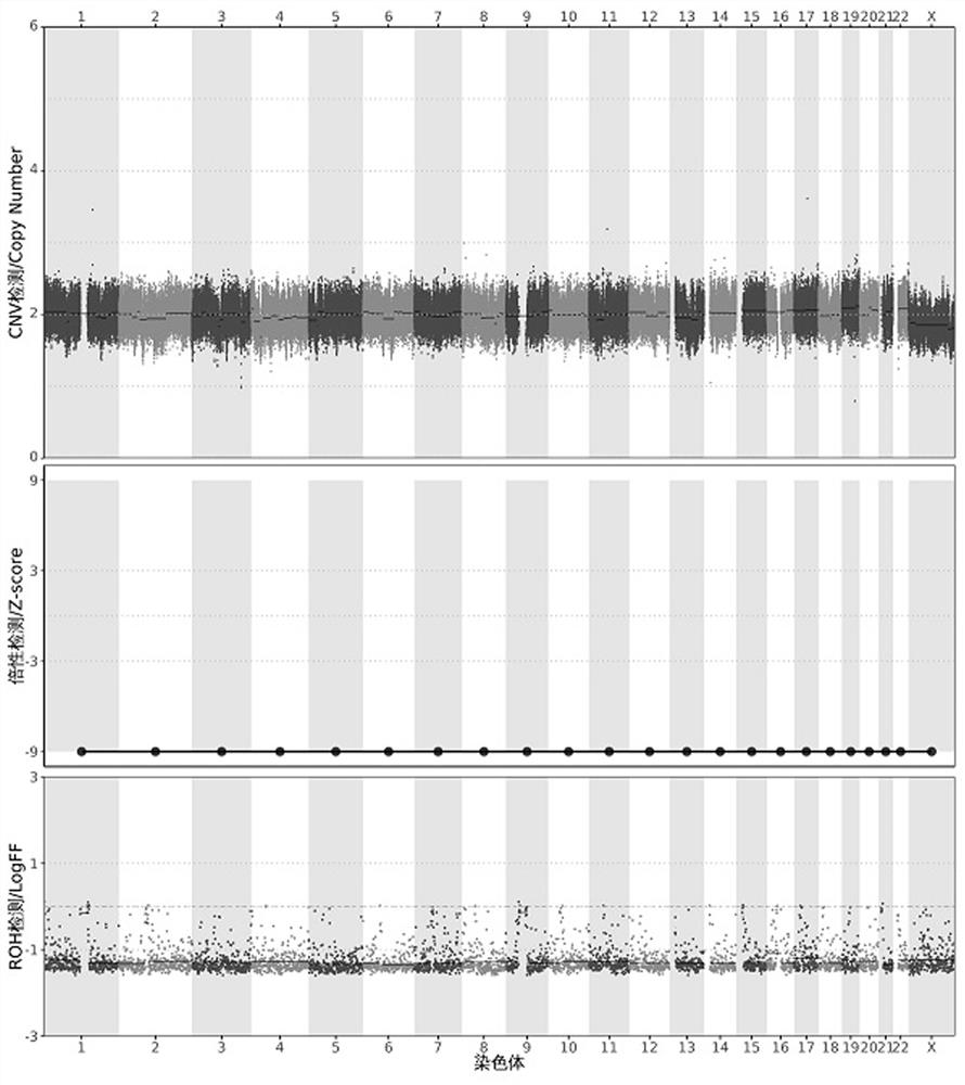 Method and device for integrated detection of CNV, uniparental disomy, triploidy and Roh