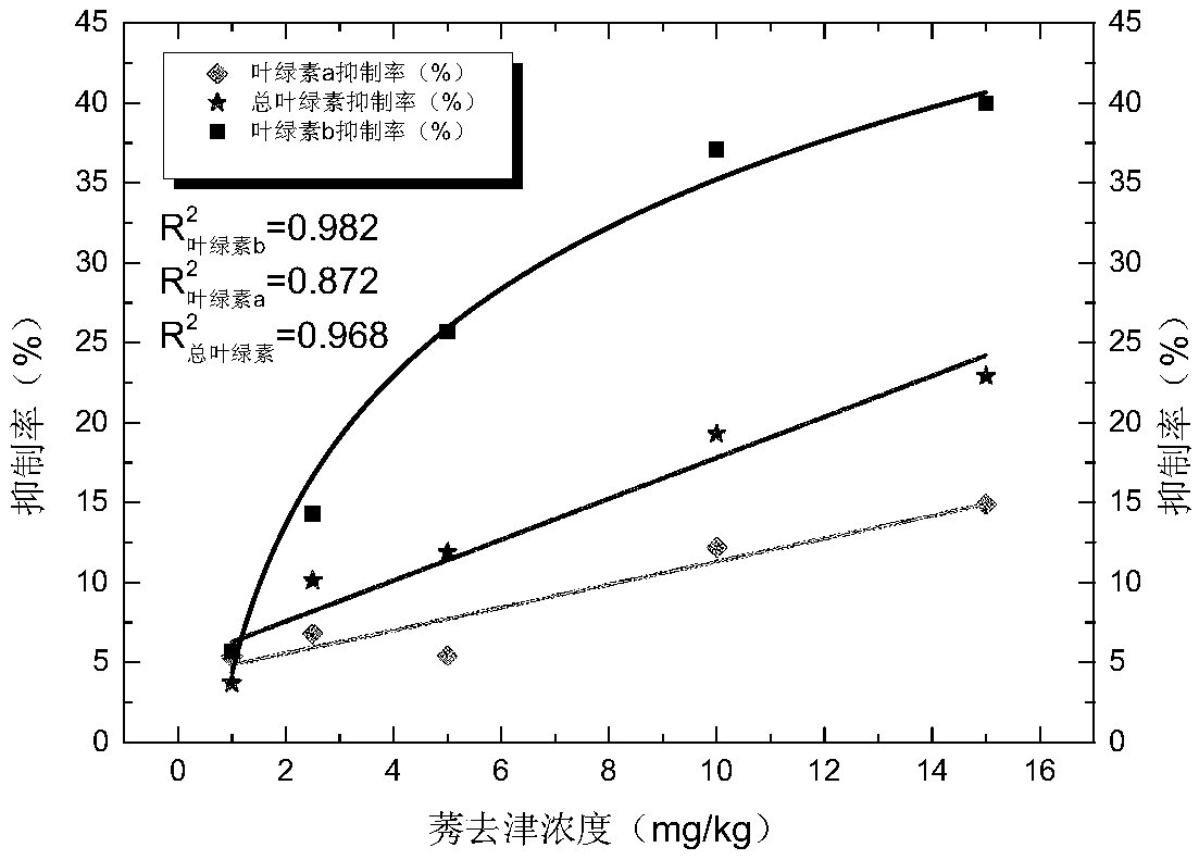 A Method for Evaluating the Ecotoxicity of Soil Residual Atrazine Using Broad Bean