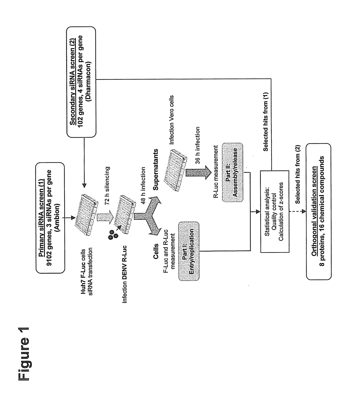 Host dependency factors as targets for antiviral therapy