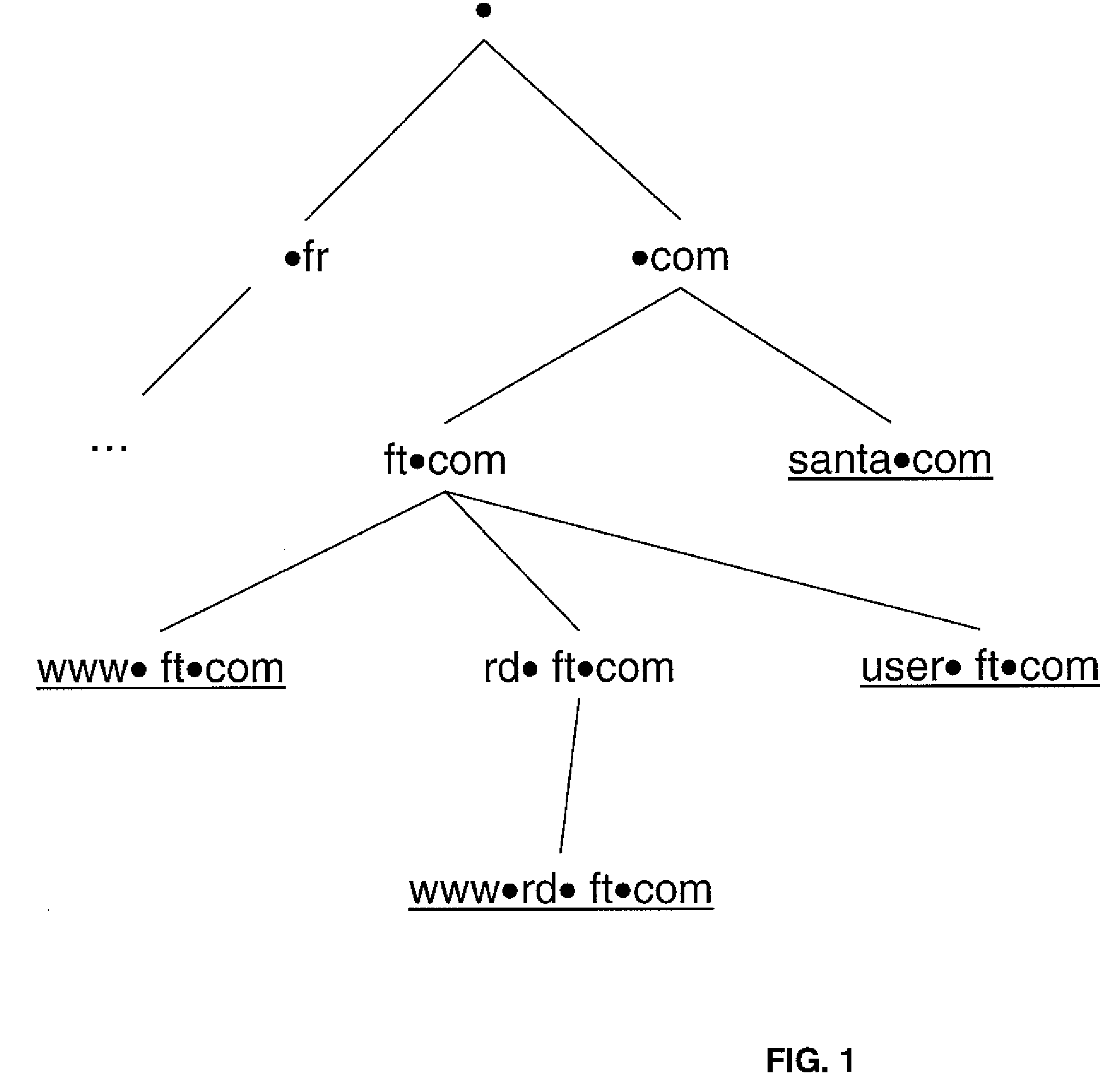 Server and Method for Managing Domain Names in a Network