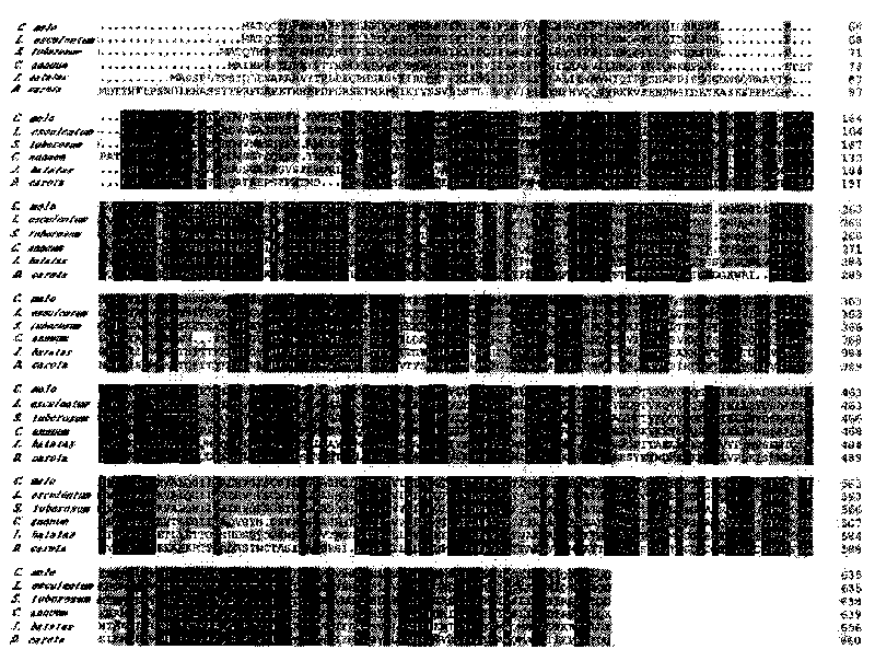 Method for transferring gene by injecting plant ovaries