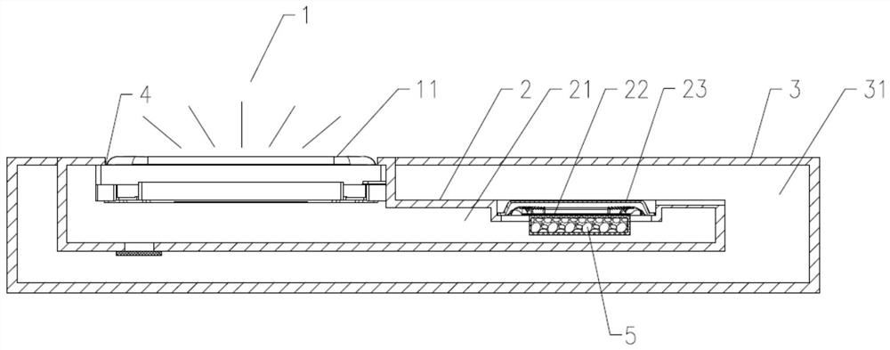 Acoustic devices and electronic equipment