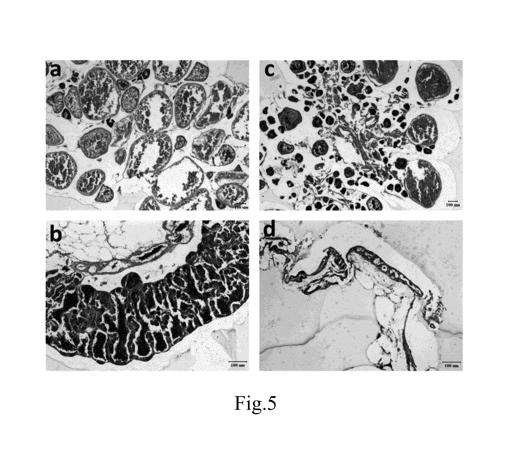 Controllable on-off method for fish reproduction