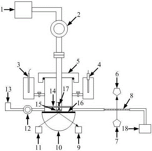 In-situ electrochemical infrared spectroscopic-mass spectrometric detection system and method