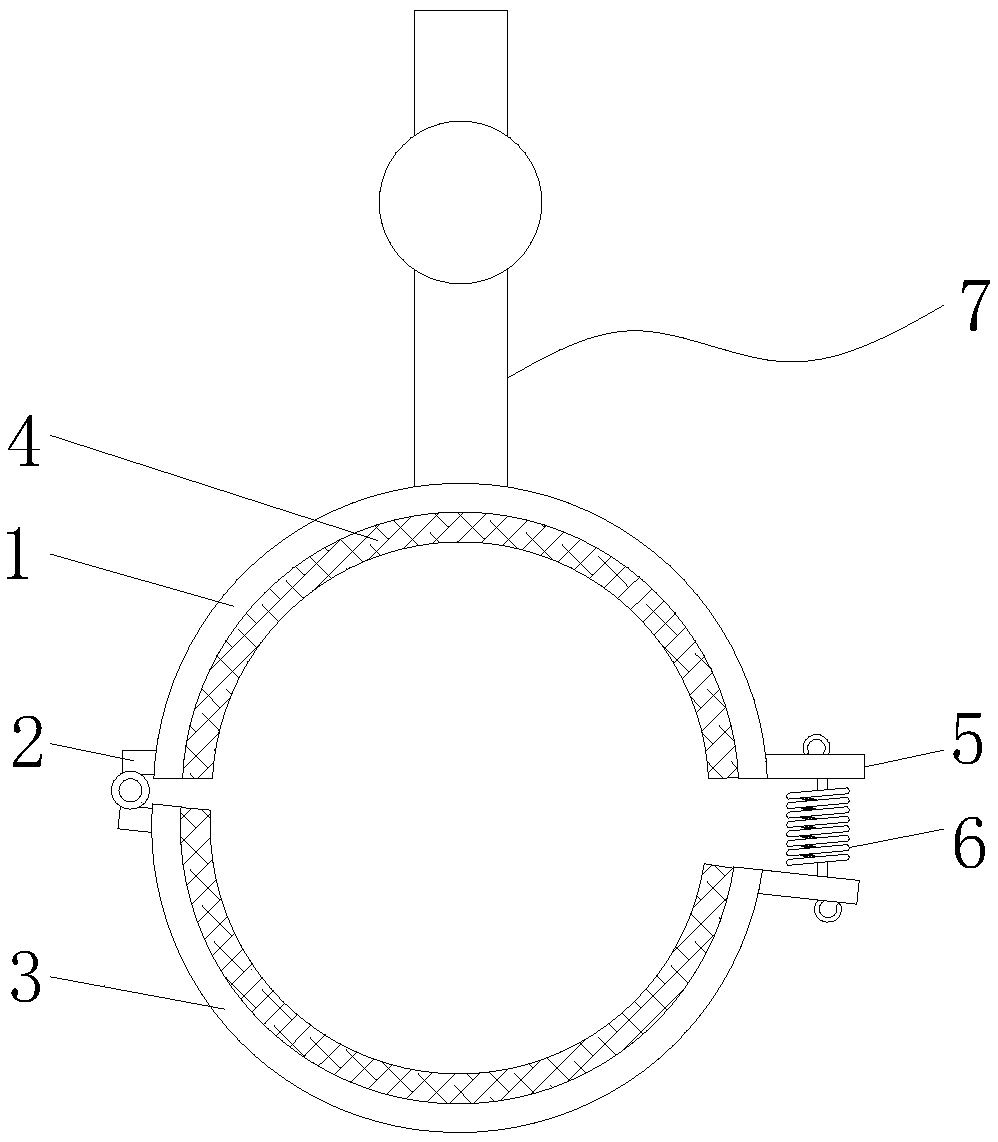 Fixing device for planting blueberries