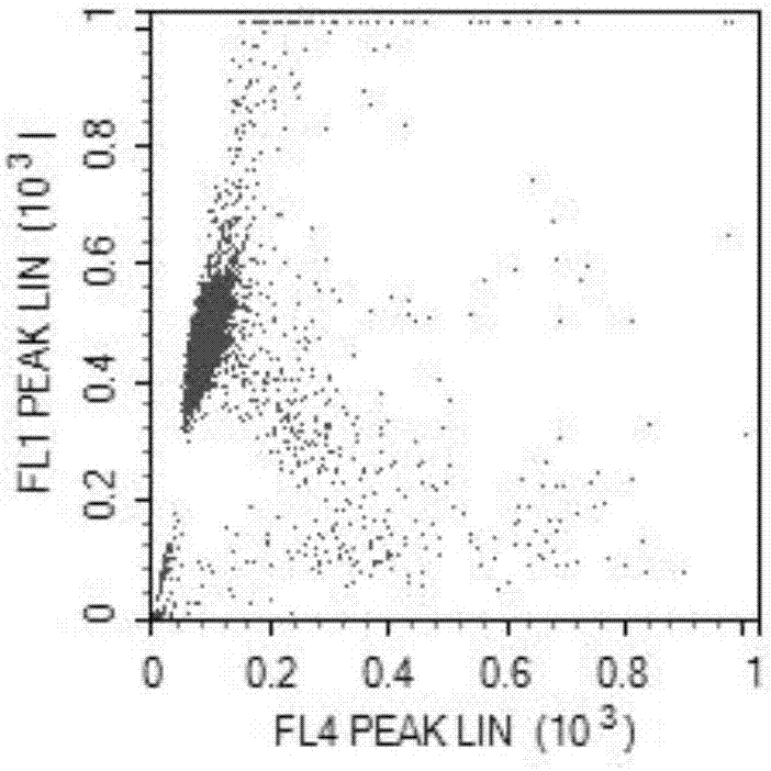 Sperm DFI (DNA Fragmentation Index) detection method based on flow cytometry