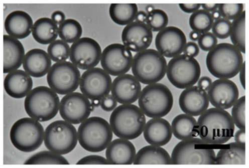 Anionic-sodium-alginate-based production method of pH-responsive intestine-targeted active factor carrying system