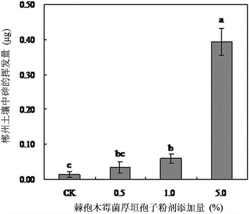 A kind of trichoderma aculeatus chlamydospore powder, its preparation method and its use