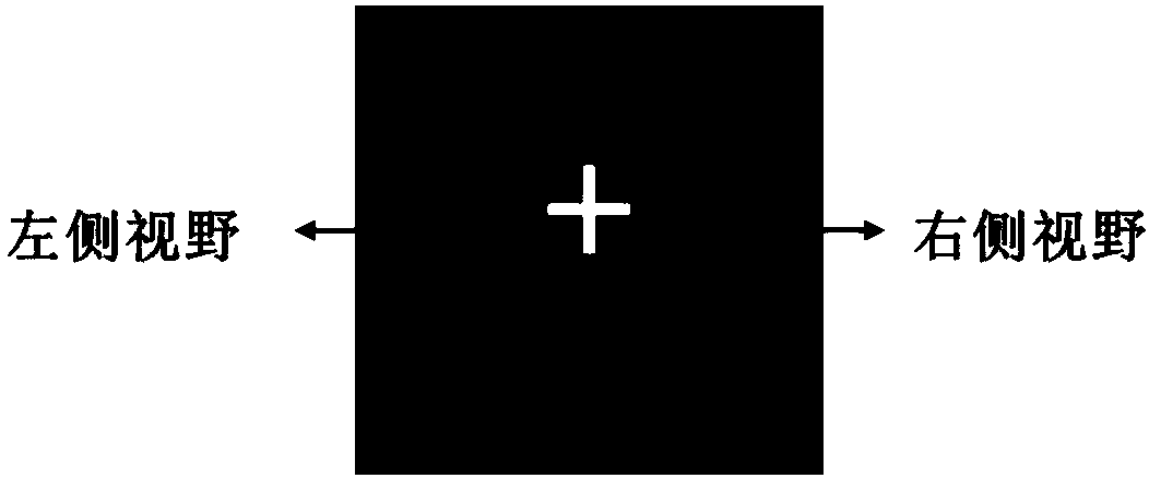 A Brain-Computer Interface Communication System Based on Asymmetric Visual Evoked Potentials