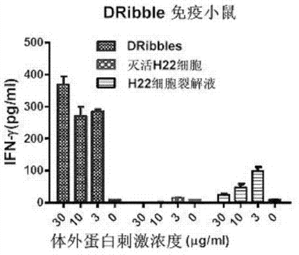 Application of H22 liver cancer cell autophagosome to preparation of liver cancer therapeutic vaccine