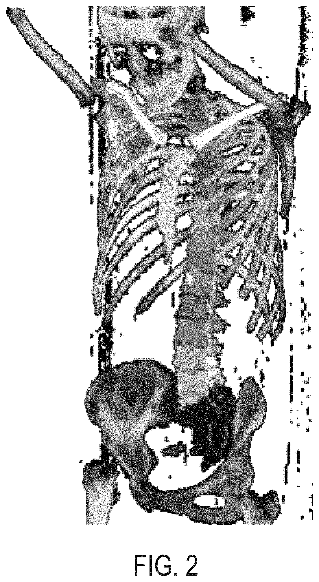 Systems and methods for platform agnostic whole body image segmentation