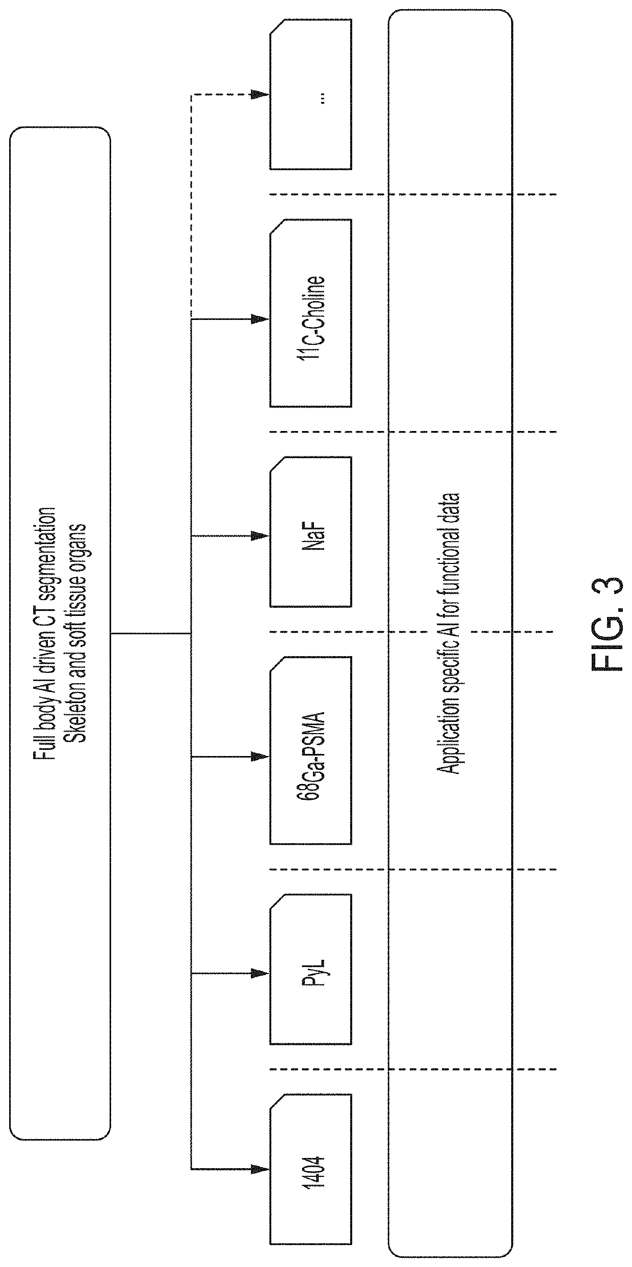 Systems and methods for platform agnostic whole body image segmentation