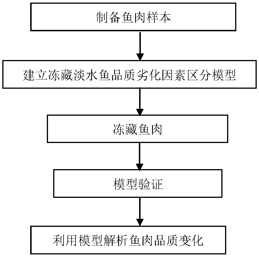 Model analysis method for distinguishing frozen storage fresh water fish meat quality degradation influence factor and application