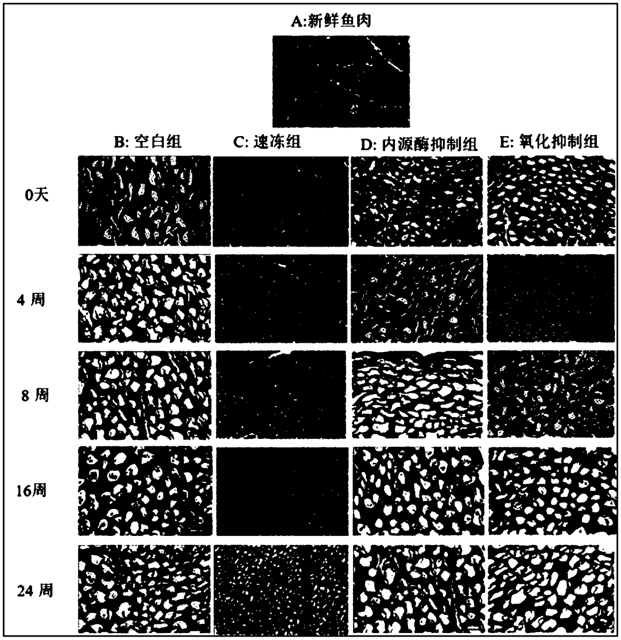 Model analysis method for distinguishing frozen storage fresh water fish meat quality degradation influence factor and application