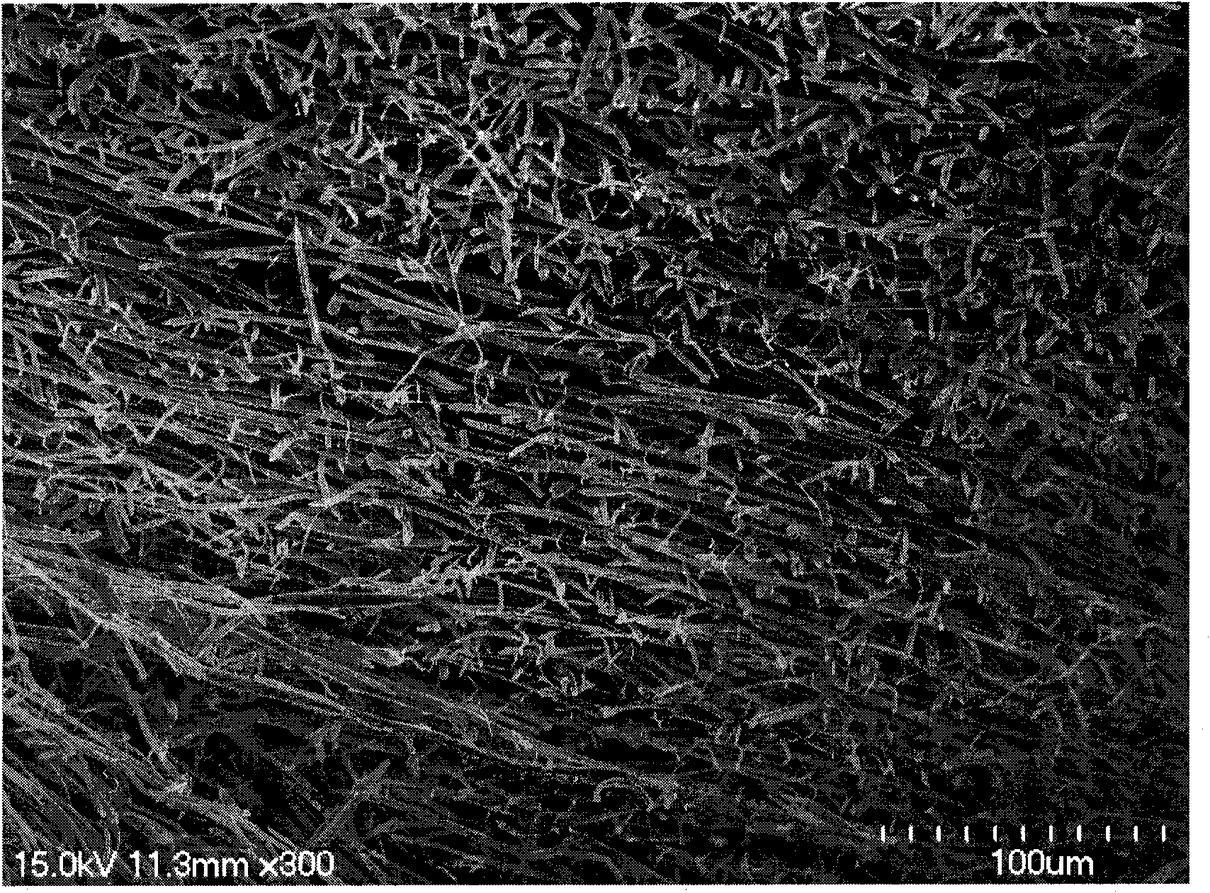 Artificial silk fibroin nano-fiber nerve repair conduit and preparation method thereof