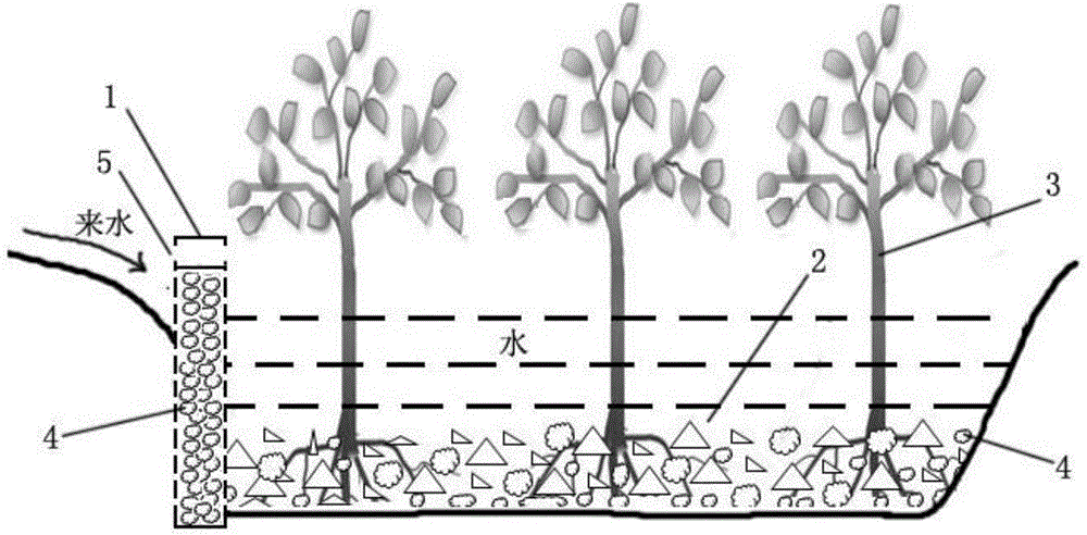 System for treating black stinking water