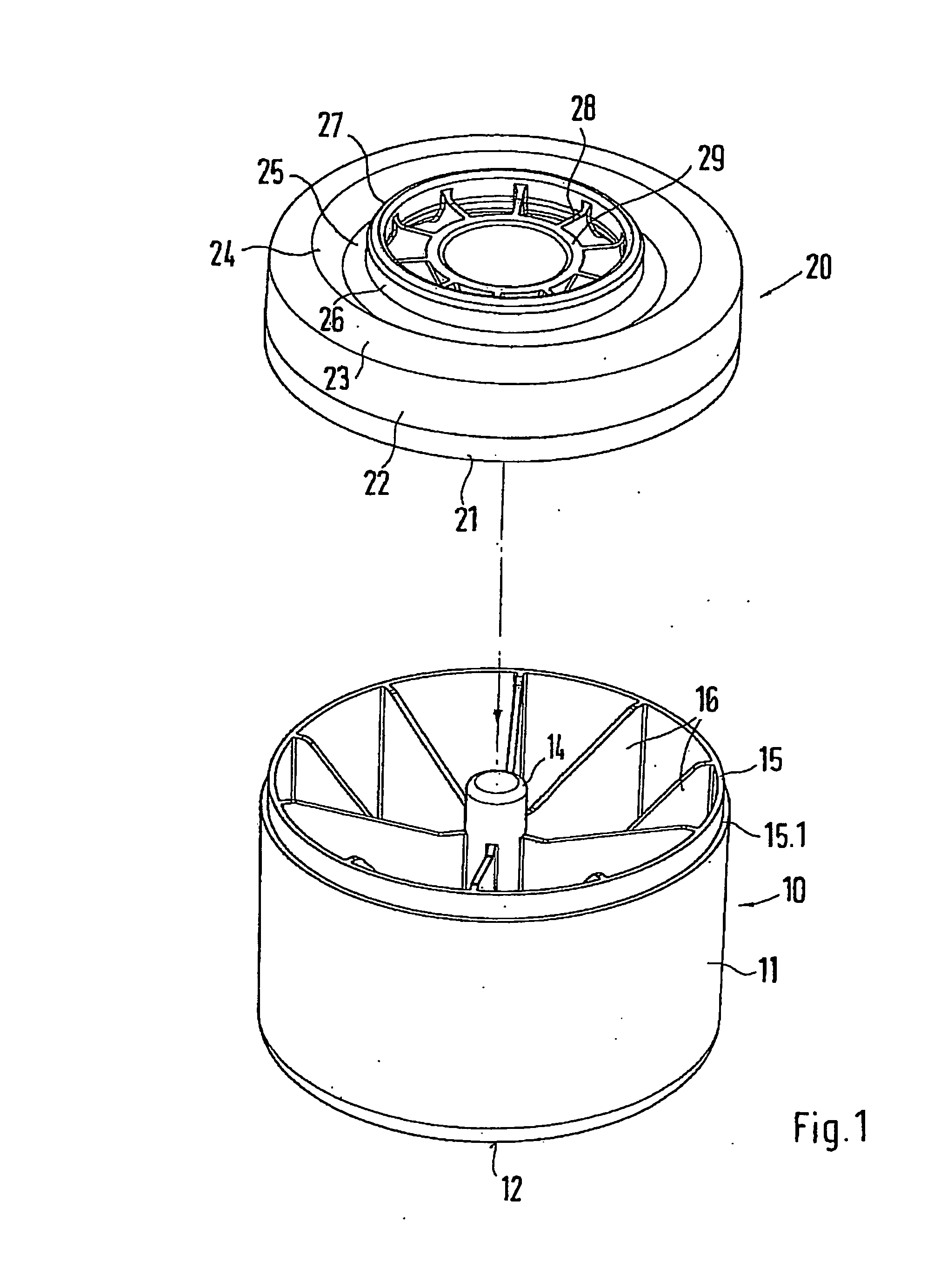 Plunger piston