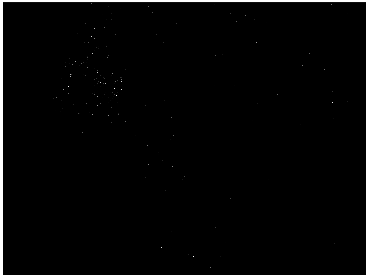 Method for preparing fluorinated graphene dispersion liquid on large scale