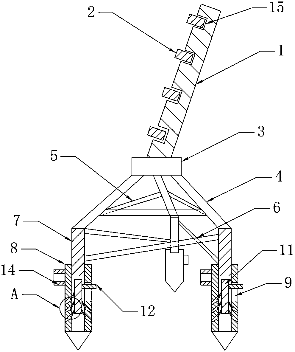 Ladders for fruit picking on hillsides