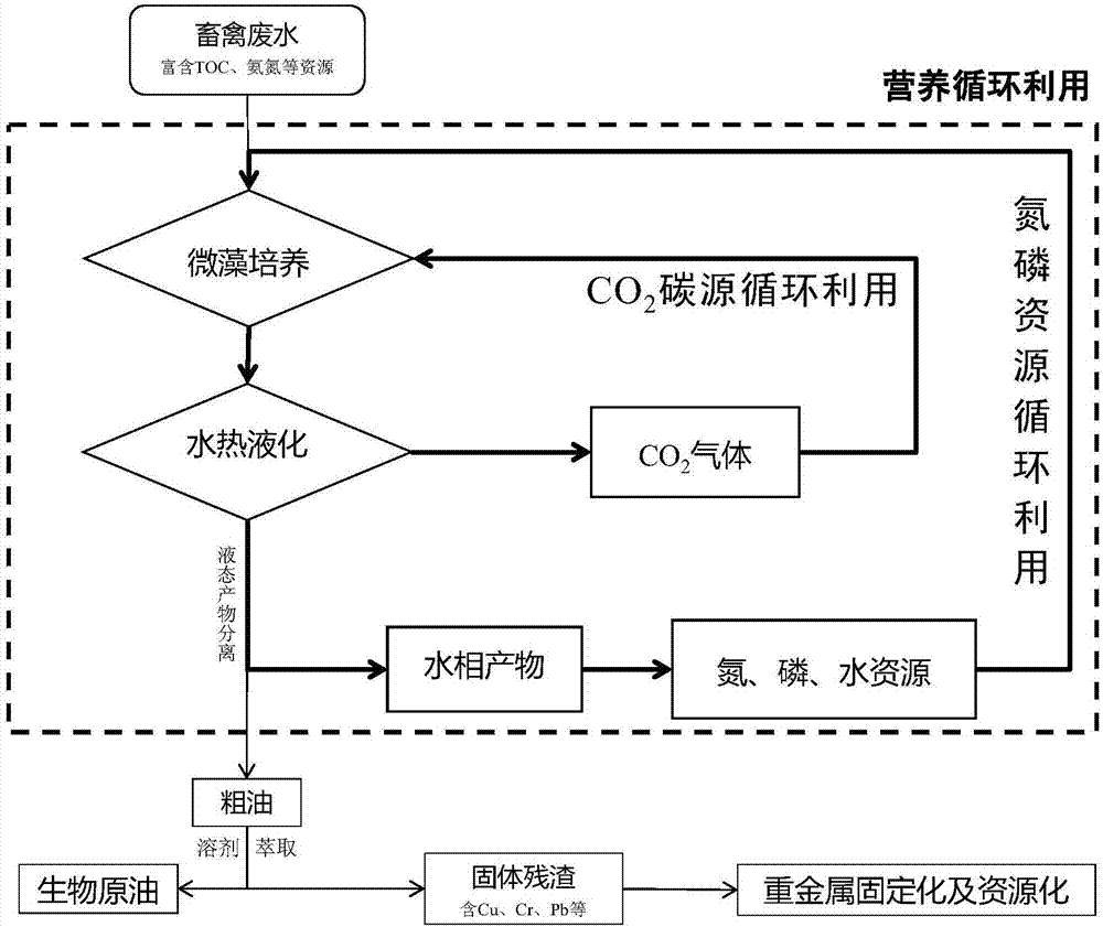 Method for livestock wastewater environment value-added utilization