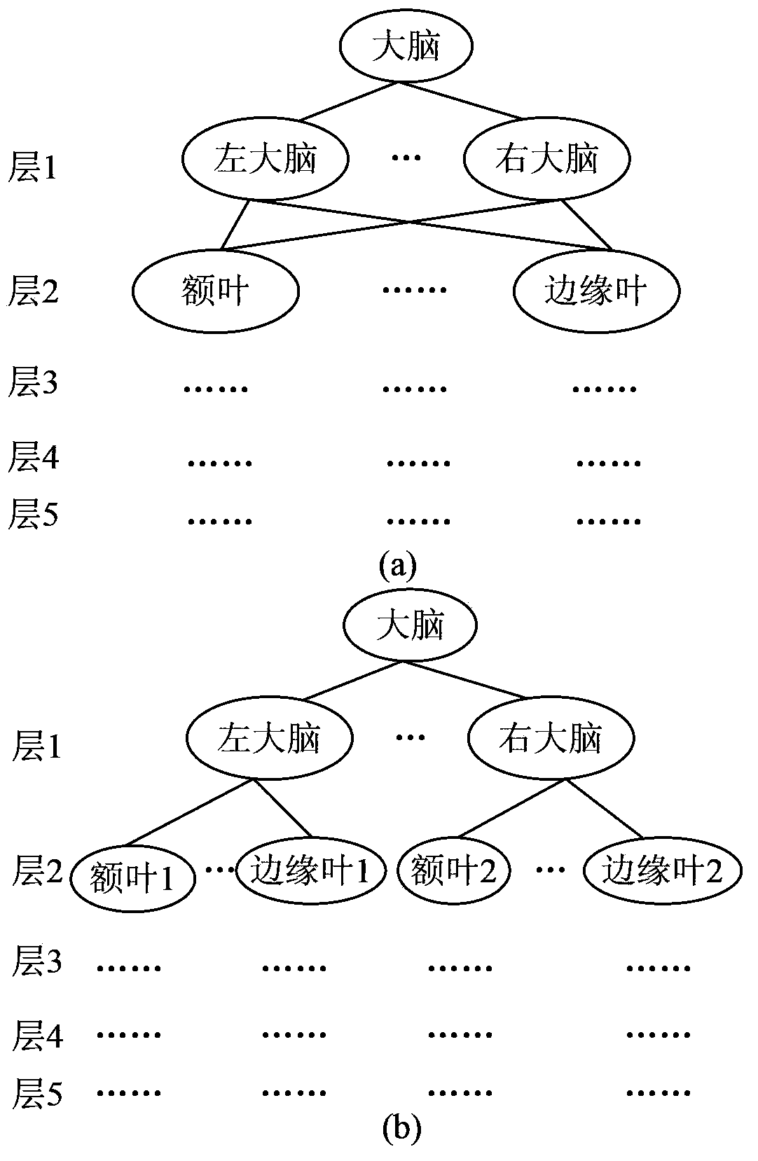 Cerebral function imaging diagnostic method based on knowledge base