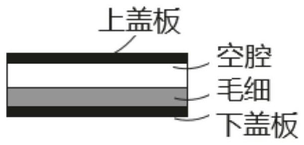 Heat dissipation device and electronic equipment