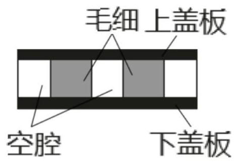 Heat dissipation device and electronic equipment