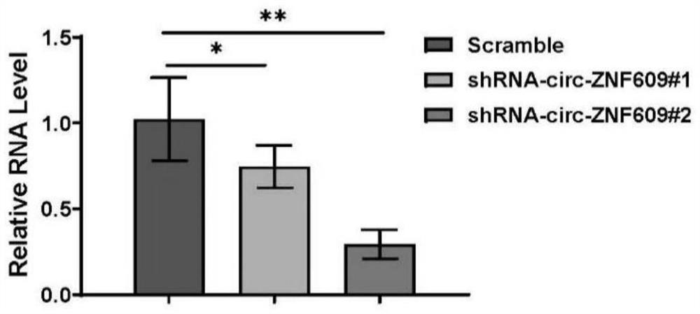 Medicine for treating doxorubicin-induced cardiotoxic injury and application