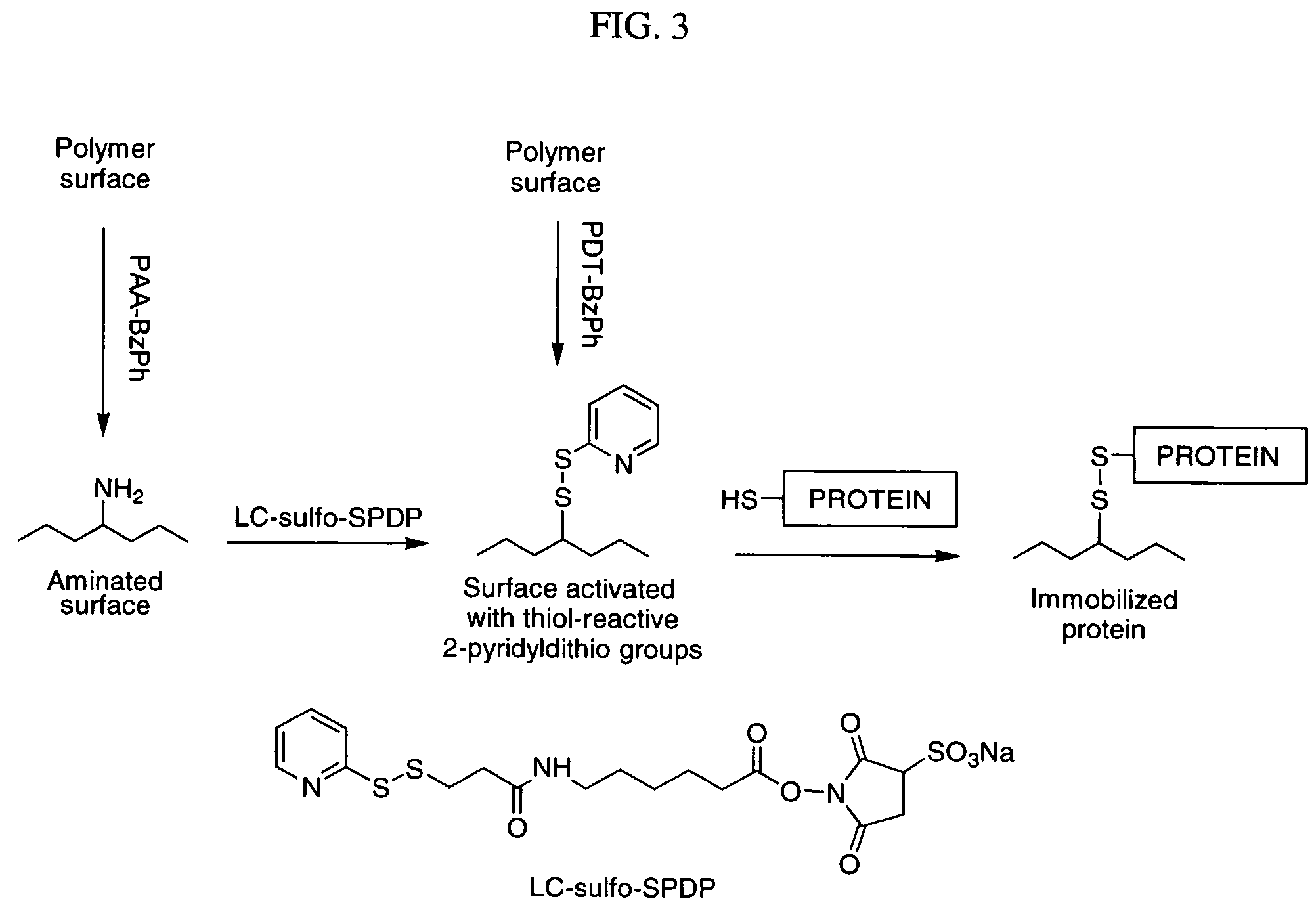 Photochemical activation of surfaces for attaching biomaterial