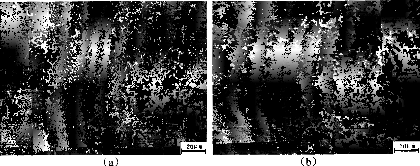 Silicon carbide based reinforced composite ceramic and preparation