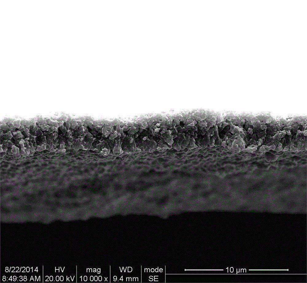 Method and application of peeling titanium surface coating by adopting nanotube treatment method