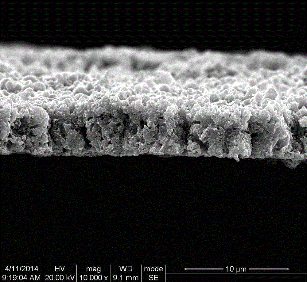 Method and application of peeling titanium surface coating by adopting nanotube treatment method