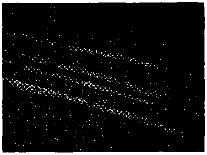 Preparation method of nickel-plated and silver-plated aromatic polyamide conductive fibers