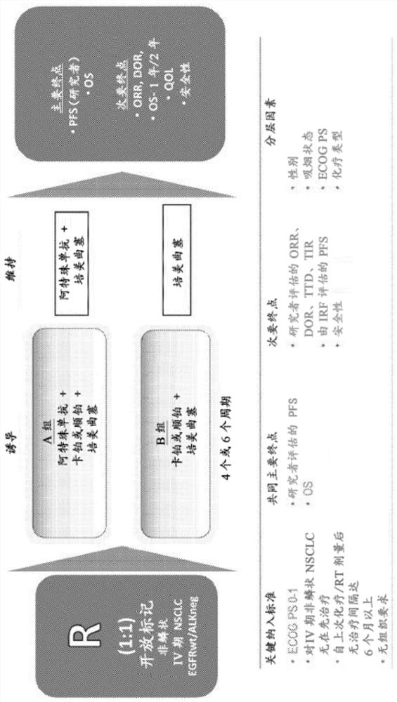 Methods of treating lung cancer with a pd-1 axis binding antagonist, an antimetabolite, and a platinum agent