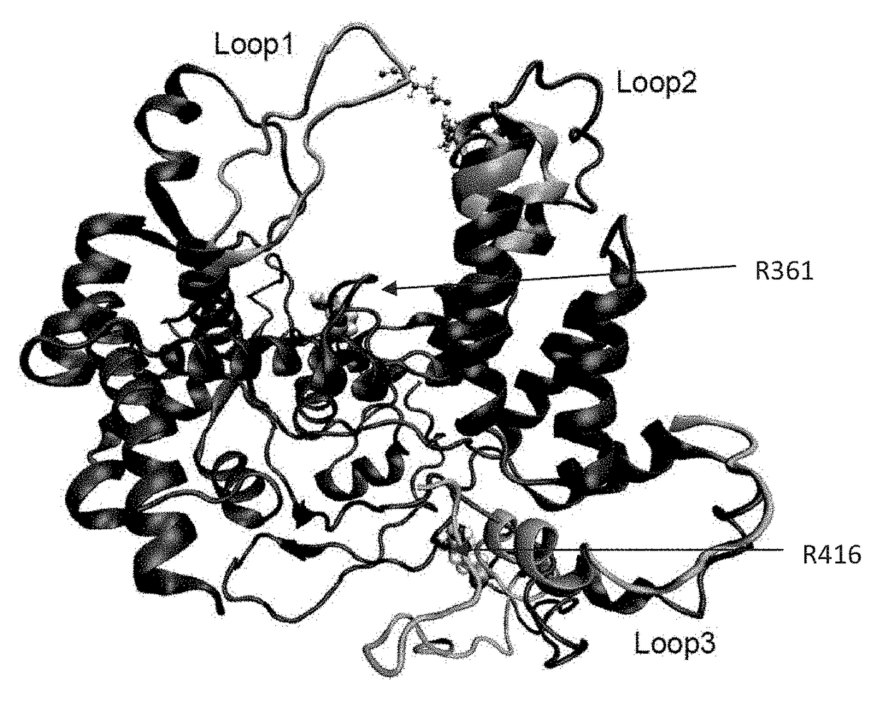 Antiviral compositions directed against the influenza virus nucleoprotein